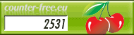 Besucherzähler Homepage