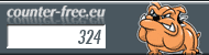Besucherzähler Homepage